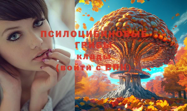 ALPHA-PVP Алексин