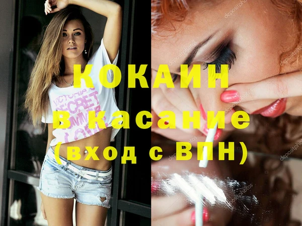 твердый Алзамай