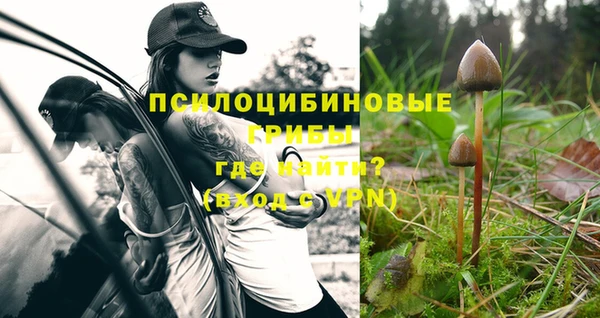кокаин колумбия Абаза