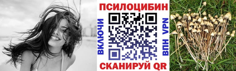 Галлюциногенные грибы GOLDEN TEACHER  купить  цена  Кимовск 