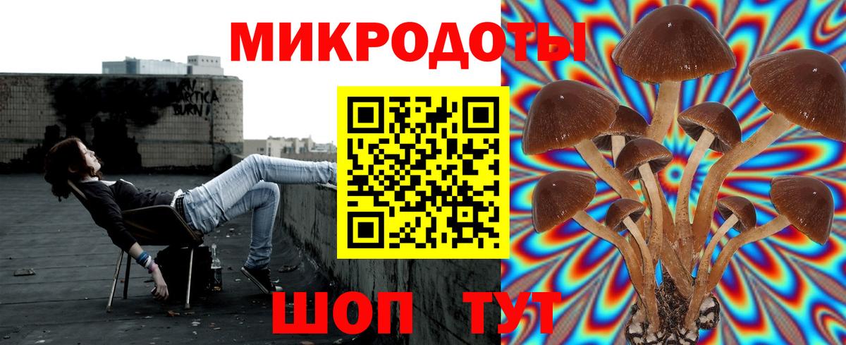 Кимовск  Псилоцибиновые грибы Psilocybe  Вход с VPN 