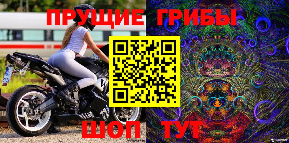 Галлюциногенные грибы Cubensis Кимовск