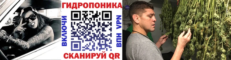 Бошки марихуана тримм  купить закладку  Кимовск 
